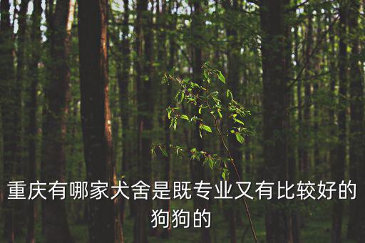 重慶市區適合養什么狗，重慶適合養什么樣的狗