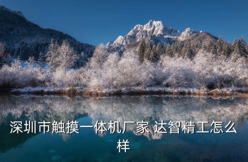 深圳市觸摸一體機廠家 達智精工怎么樣
