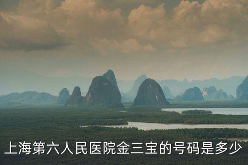 上海第六人民醫(yī)院金三寶的號碼是多少
