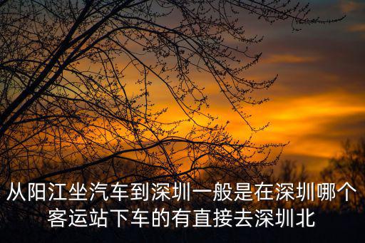 從陽江坐汽車到深圳一般是在深圳哪個客運(yùn)站下車的有直接去深圳北