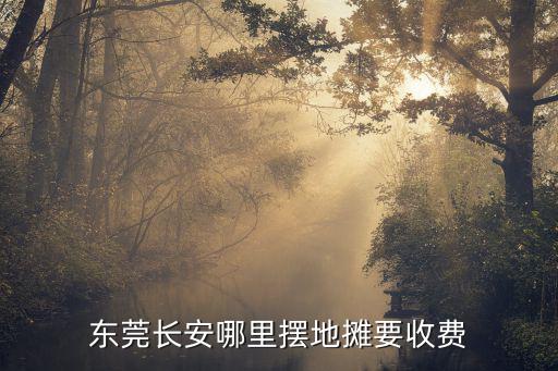 東莞長安哪里擺地攤要收費