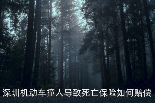 深圳機動車撞人導致死亡保險如何賠償