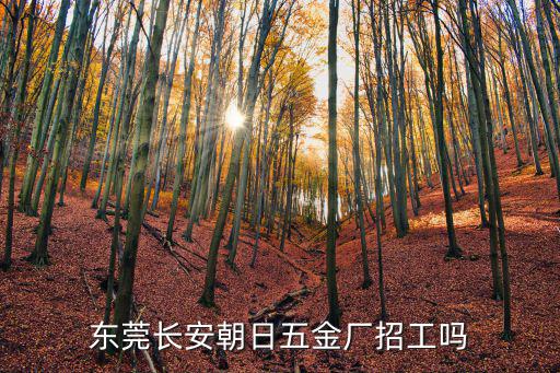 東莞長安朝日五金廠招工嗎