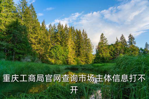 重慶市場主體信用信息，重慶市工商行政管理局公眾信息網(wǎng)市場基礎(chǔ)性息查詢