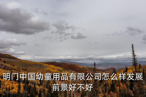明門中國幼童用品有限公司怎么樣發展前景好不好