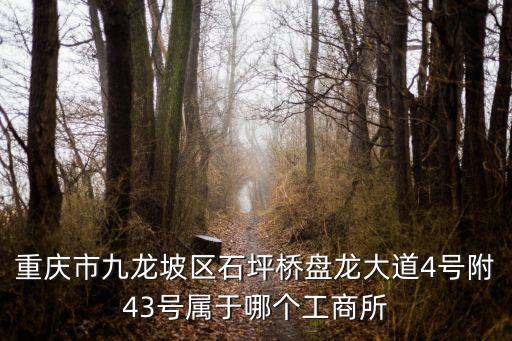 重慶市工商加州工商所，請問一下重慶江北區建新南路1號是屬于哪個工商所管理