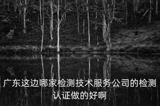 廣東這邊哪家檢測技術服務公司的檢測認證做的好啊