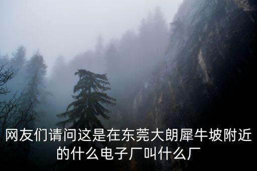 網友們請問這是在東莞大朗犀牛坡附近的什么電子廠叫什么廠