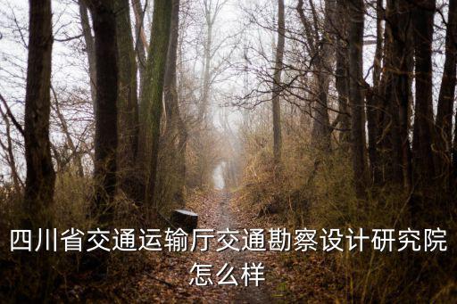 四川省交通運輸廳交通勘察設(shè)計研究院怎么樣