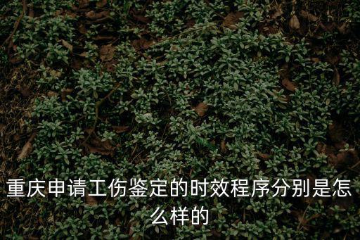 重慶申請(qǐng)工傷鑒定的時(shí)效程序分別是怎么樣的