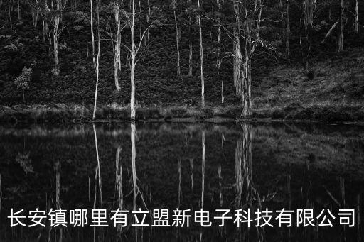 長安鎮哪里有立盟新電子科技有限公司