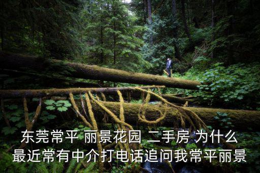 東莞常平中介，常平房產中介公司有沒有