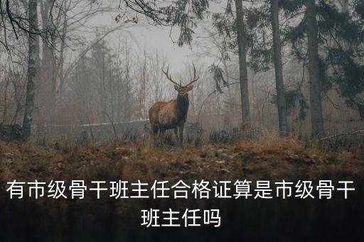 有市級(jí)骨干班主任合格證算是市級(jí)骨干班主任嗎