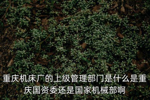 重慶機床廠的上級管理部門是什么是重慶國資委還是國家機械部啊