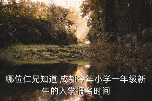 哪位仁兄知道 成都今年小學(xué)一年級新生的入學(xué)報名時間