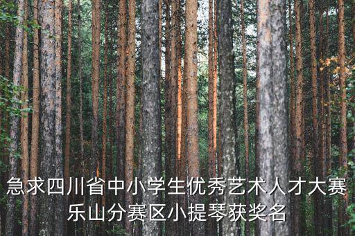 急求四川省中小學生優(yōu)秀藝術(shù)人才大賽樂山分賽區(qū)小提琴獲獎名