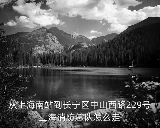 從上海南站到長(zhǎng)寧區(qū)中山西路229號(hào)上海消防總隊(duì)怎么走