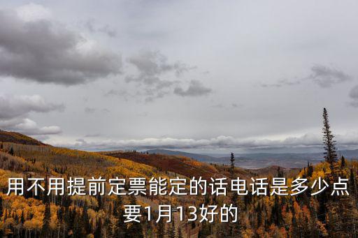用不用提前定票能定的話電話是多少點 要1月13好的