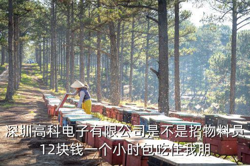 深圳高科電子有限公司是不是招物料員12塊錢一個(gè)小時(shí)包吃住我朋