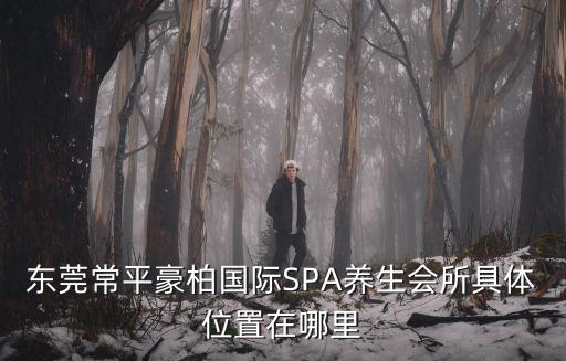 東莞常平豪柏國際SPA養生會所具體位置在哪里