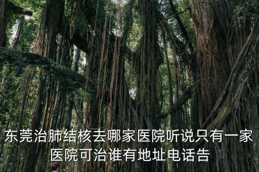 東莞治肺結核去哪家醫院聽說只有一家醫院可治誰有地址電話告