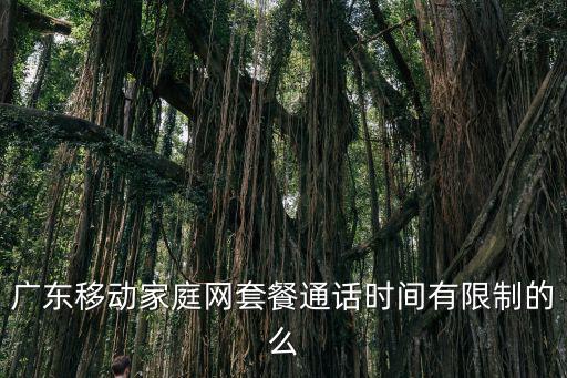 廣東移動家庭網套餐通話時間有限制的么