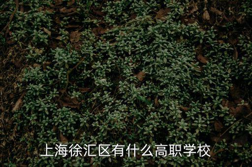 上海徐匯區(qū)有什么高職學校