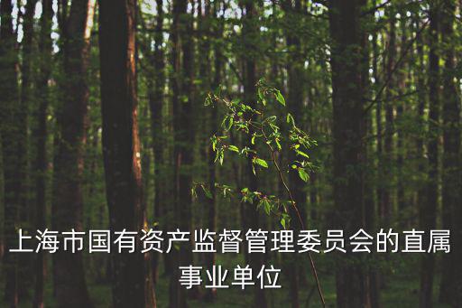 上海市國有資產監督管理委員會的直屬事業單位