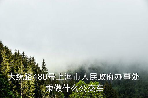 大統路480號上海市人民政府辦事處 乘做什么公交車