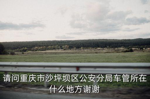 請問重慶市沙坪壩區公安分局車管所在什么地方謝謝