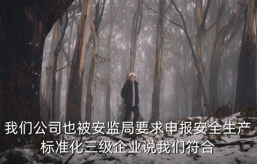 我們公司也被安監(jiān)局要求申報安全生產(chǎn)標準化三級企業(yè)說我們符合