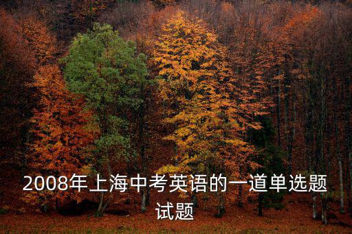 2008年上海中考英語的一道單選題試題