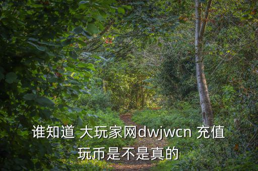 誰知道 大玩家網dwjwcn 充值玩幣是不是真的