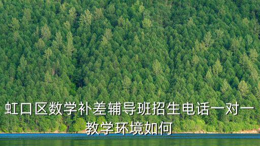 虹口區(qū)數(shù)學(xué)補(bǔ)差輔導(dǎo)班招生電話一對(duì)一教學(xué)環(huán)境如何