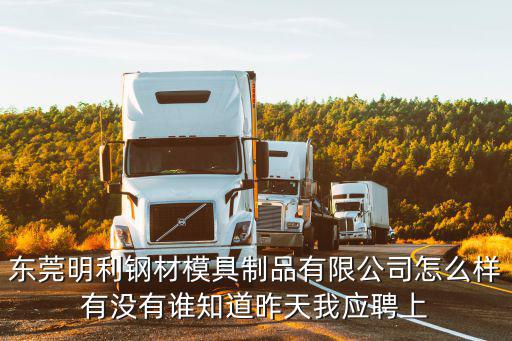 東莞明利鋼材模具制品有限公司怎么樣有沒(méi)有誰(shuí)知道昨天我應(yīng)聘上