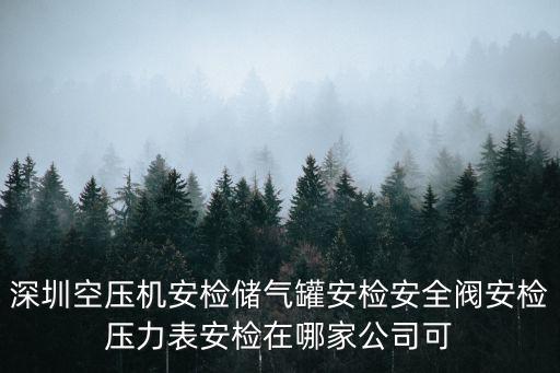 深圳空壓機安檢儲氣罐安檢安全閥安檢壓力表安檢在哪家公司可