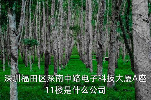深圳市歐諾浦電子科技有限公司，深圳福田區(qū)深南中路電子科技大廈A座11樓是什么公司