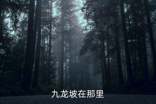 重慶市巴南區(qū)九龍坡區(qū)，重慶九龍坡在那里