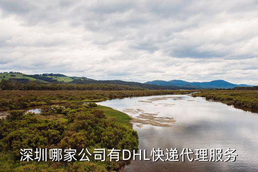 深圳哪家公司有DHL快遞代理服務(wù)