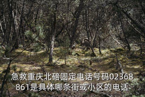 重慶市北碚區(qū)李曉華，重慶市北碚區(qū)水土鎮(zhèn)云漢大道136號郵編是