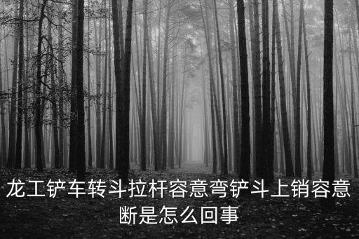 龍工鏟車轉(zhuǎn)斗拉桿容意彎鏟斗上銷容意斷是怎么回事