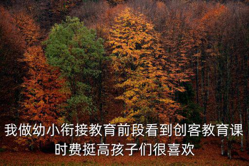 我做幼小銜接教育前段看到創(chuàng)客教育課時費挺高孩子們很喜歡
