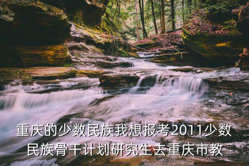重慶的少數民族我想報考2011少數民族骨干計劃研究生去重慶市教
