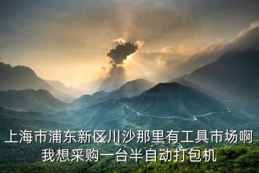上海市浦東新區川沙那里有工具市場啊我想采購一臺半自動打包機