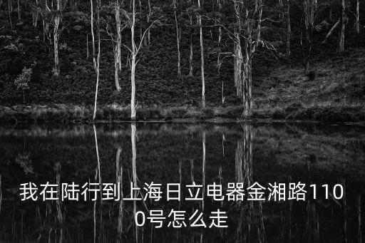 我在陸行到上海日立電器金湘路1100號怎么走
