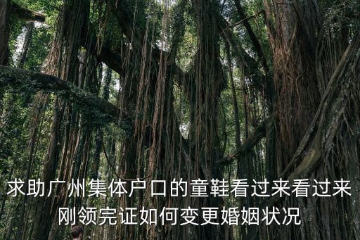 求助廣州集體戶口的童鞋看過來看過來剛領完證如何變更婚姻狀況