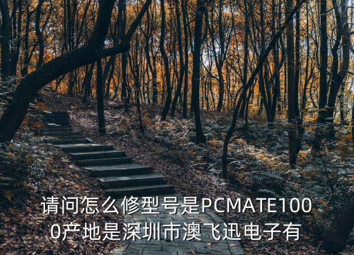 請問怎么修型號是PCMATE1000產地是深圳市澳飛迅電子有