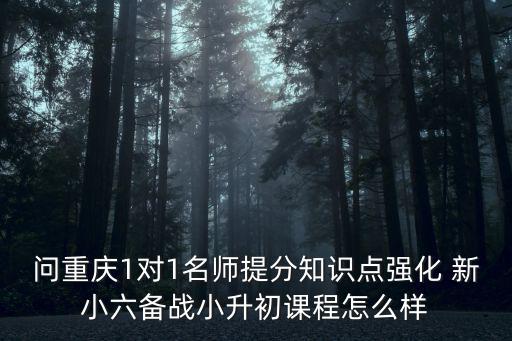 問重慶1對1名師提分知識點強化 新小六備戰小升初課程怎么樣