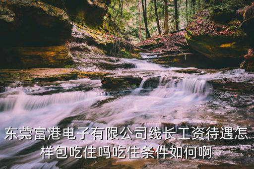東莞富港電子有限公司線長工資待遇怎樣包吃住嗎吃住條件如何啊