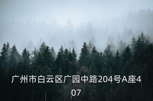 廣州市白云區(qū)廣園中路204號(hào)A座407